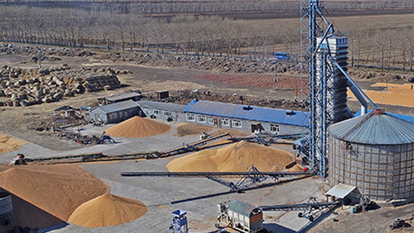 糧食烘干合作社如何做到年節(jié)省90萬元？利民萬佳鍋爐為您解析